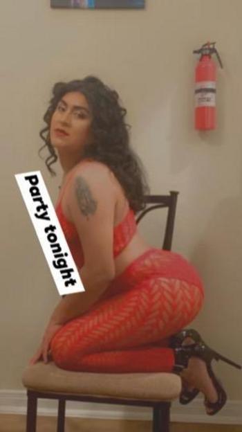 3467081570, transgender escort, Houston