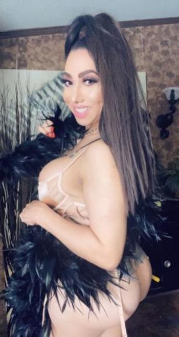 8324976893, transgender escort, Houston
