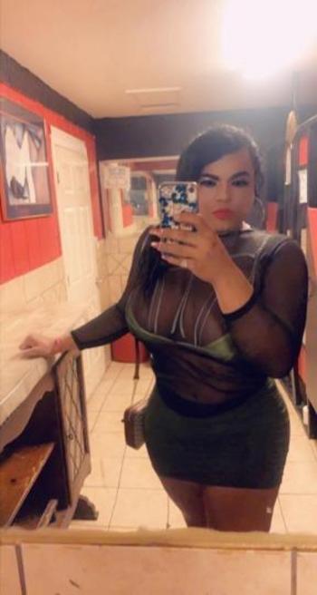 8329441558, transgender escort, Houston
