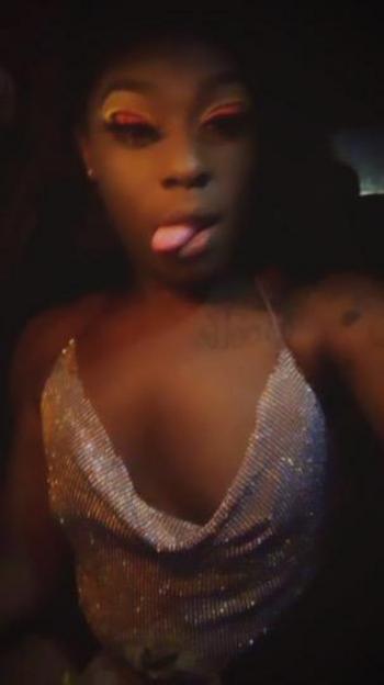 3463632741, transgender escort, Houston