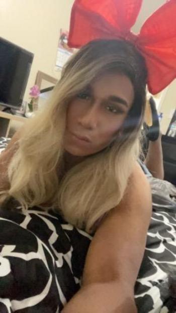 8328738758, transgender escort, Houston