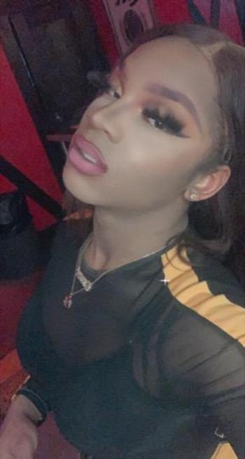 5046188009, transgender escort, Houston