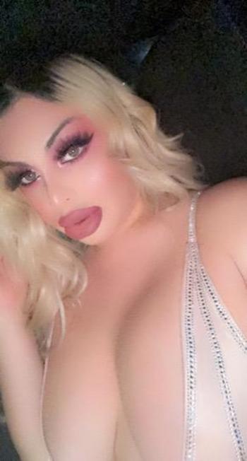 4699002825, transgender escort, Houston