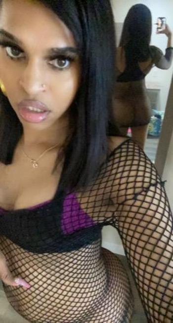 2814089897, transgender escort, Houston