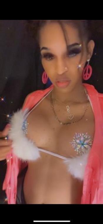 7133448029, transgender escort, Houston