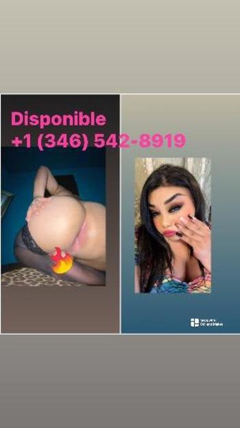 3465428919, transgender escort, Houston