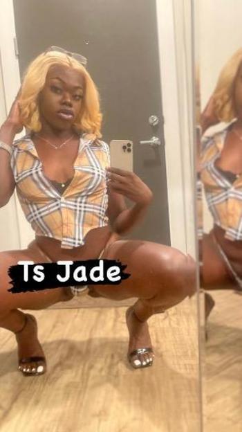 8325211636, transgender escort, Houston