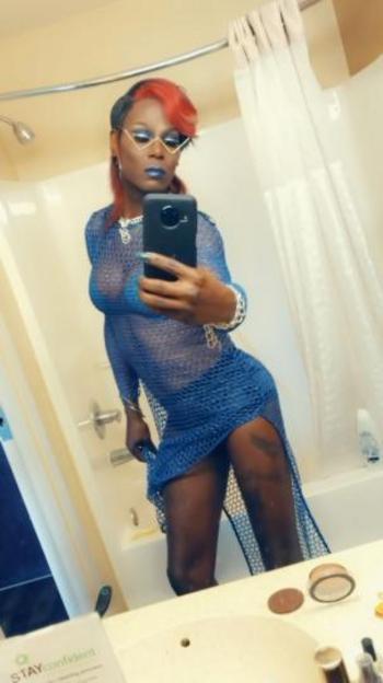 3463380876, transgender escort, Houston