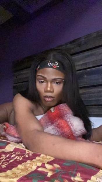 5865043782, transgender escort, Houston